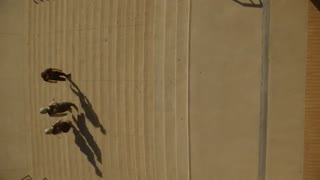 دانلود سریال تخیلی هیجانی لژیون-فصل2 قسمت2 با زیرنویس چسبیده-Legion