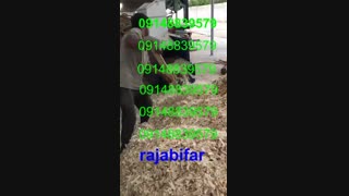 دستگاه پوشال ساز مرغ