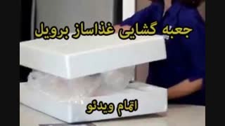 غذاساز برویل مدل BFP650 - خرید در sinbod.com