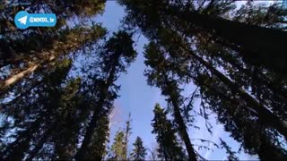 مستند حیات وحش روسیه با دوبله فارسی - قسمت 5