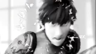 Anna|Rapunzel|Elsa|Hiccup||Silent Strom...