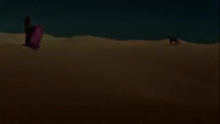 کلیپ تاختن اسب ها