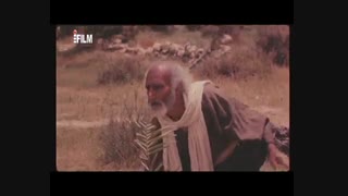 فرمانداران حکومت امام علی (ع) در چه سطح مالی بودند؟