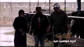 دانلود قسمت ششم سریال گلشیفته | قسمت 6 گلشیفته | (_قسمت ۶) full hd