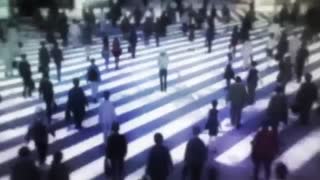 ای ام وی انیمه توکیو غول Tokyo Ghoul「AMV」Project Beast ᴴᴰ