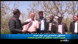 محصول باغداران زیر تیغ سرما