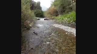 طبیعت  زیبا و دیدنی طارم  چلوارمحله (گیلانکشه)