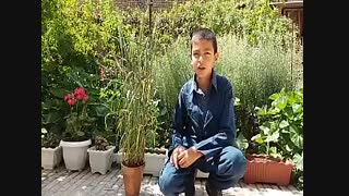 کشاورز نمونه معین حاجی زاده
