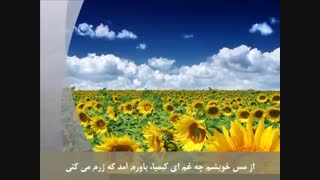 ترانه خاکم و زیر و زبرم می کنی