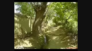 ترانه گوچه باغ راز با صدای شنیدنی نادر گلچین