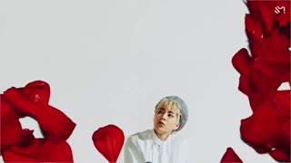 موزیک ویدیو blooming day از exo_cbx