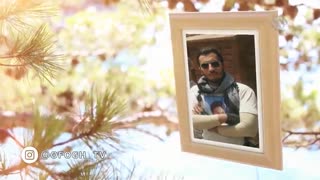 ملازمان حرم (شهید سید محمد حسین میردوستی)