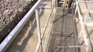 The Story of the Tulips | Planting to Harvest | One year at Maliepaard Bloembollen