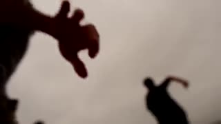 حبیب - دنیا