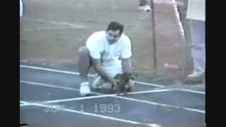 Comedy "Funny Animals" - part III - YouTube