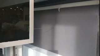 پنل آکوستیک (عایق صوتی)