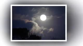 دلم تغییر میخواهد : شاعر بتول مبشری با آوای زهرا عالمی