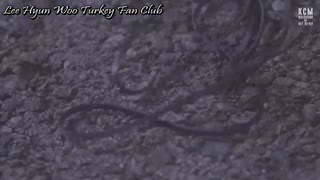 موزیک ویدیویی از Lee hyun woo