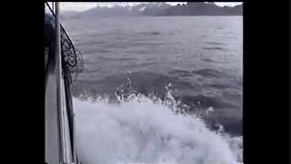 پرش زیبای ماهیان بزرگ در اب