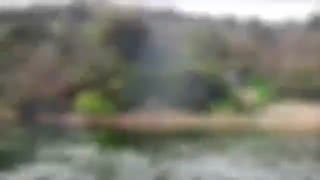 فیلم مستند اموزش ماهیگیری کپور