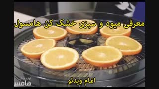 میوه و سبزی خشک کن هامسول - خرید در sinbod.com