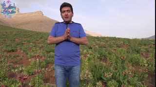 چگونه می توانیم از مشکلات خود رها شده و به آرامش برسیم؟