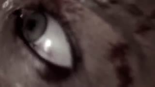 تیزر رسمی سریال +18 احضار + دانلود رایگان قسمت 1 فصل اول