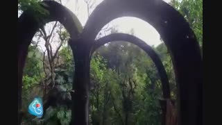 درهایی که باز نمی شوند...