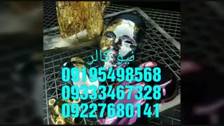 قیمت پودر و دستگاه مخملپاش/دستگاه هیدروگرافیک/ابکاری فانتاکروم نیوکالر02156571279