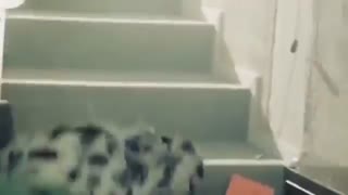 BTS Live Trilogy EPISODE III THE WINGS TOUR in Seoul