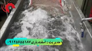 شستشو و حباب زن