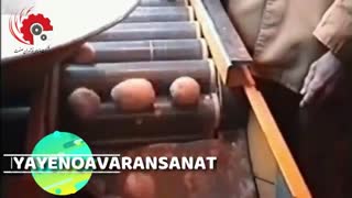 فرآوری سیب زمینی