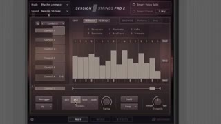 دانلود وی اس تی Native Instruments Session Strings Pro 2 v1.0 KONTAKT