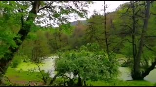 بهشت گمشده ایران | مردابی بی نظیر در شمال ایران