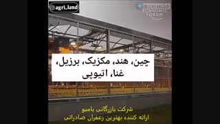 چرا هلند در زمینهء کشاورزی جزء اولین  و  بهتریها در دنیا است؟