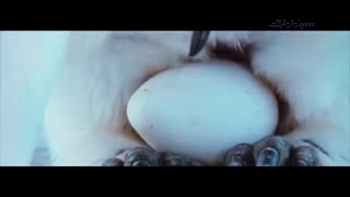 زندگی سخت پنگوئن‌های امپراطور در مستند "رژه پنگوئن‌ها"