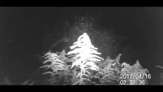 24 ساعت در خانه کارتونی ترسناک  papajake