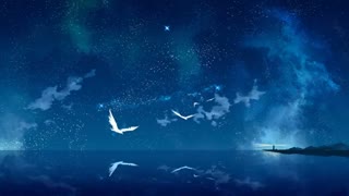 A sky full of stars