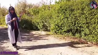 ارباب سایه ها