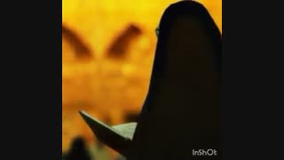 زیارت امام رضا(ع)ازدور