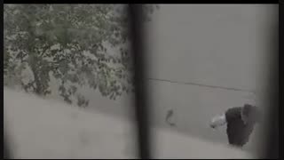 کودکان با تنبیه بزرگ نمیشوند تنها می شکنند!