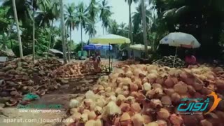 تور تایلند,تور پاتایا,تور پوکت,تور ساموئی(www.Thaigasht.com)