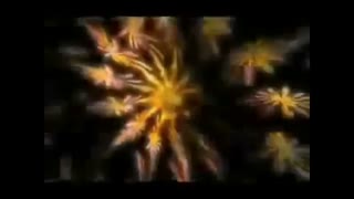 جانی بایما (فیلم obey the walrus)