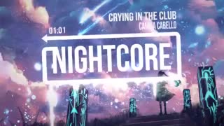 *[Nightcore*[crying in the club