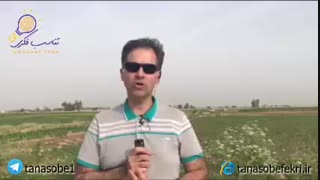 طبیعت را نمی توان تغییر داد