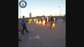 عجیب‌ترین رکوردهای گینس!