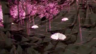 اوپنینگ چهارم انیمه هنر شمشیر آنلاین