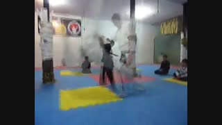 رهرو  آرین سام دلیری