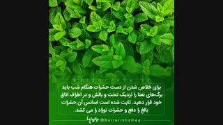 راهی برای خلاص شدن از حشرات ::///دانستنی..