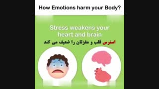 دکتر رادا 18: تاثیر احساسات بر روی سلامت جسم- دانستنی